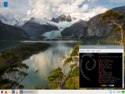 LXDE Raspberry Pi OS